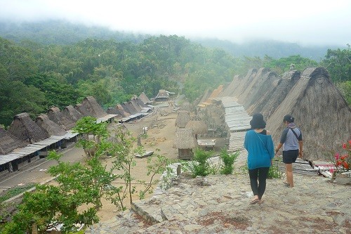 Bena traditional village